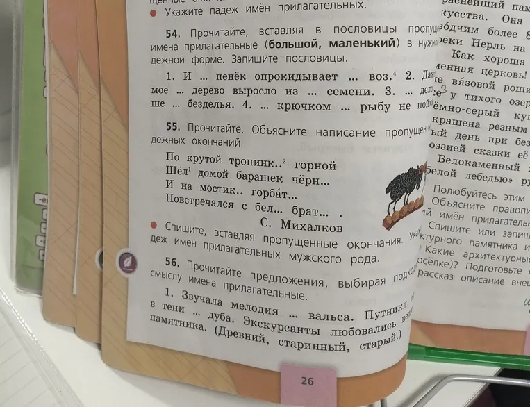 Прочитайте, вставляя в пословицы пропущенные имена прилагательные (большой, маленький) в нужной форме.