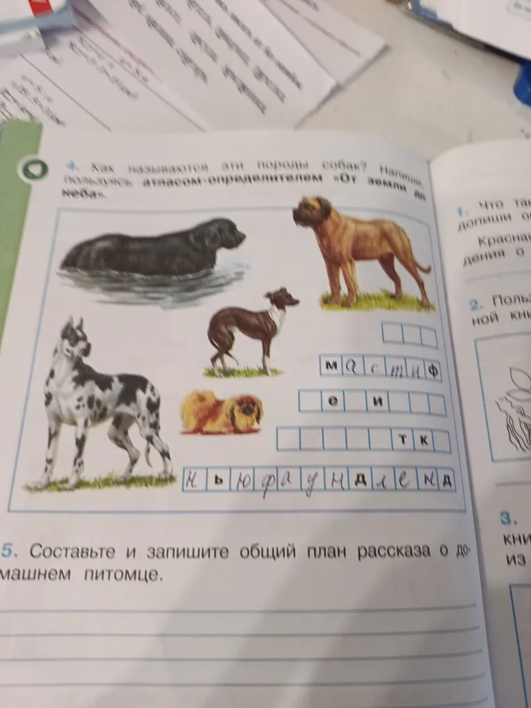 Как называются эти породы собак? Напиши, пользуясь атласом-определителем 'От земли до неба'. Составьте и запишите общий план рассказа о домашнем питомце.