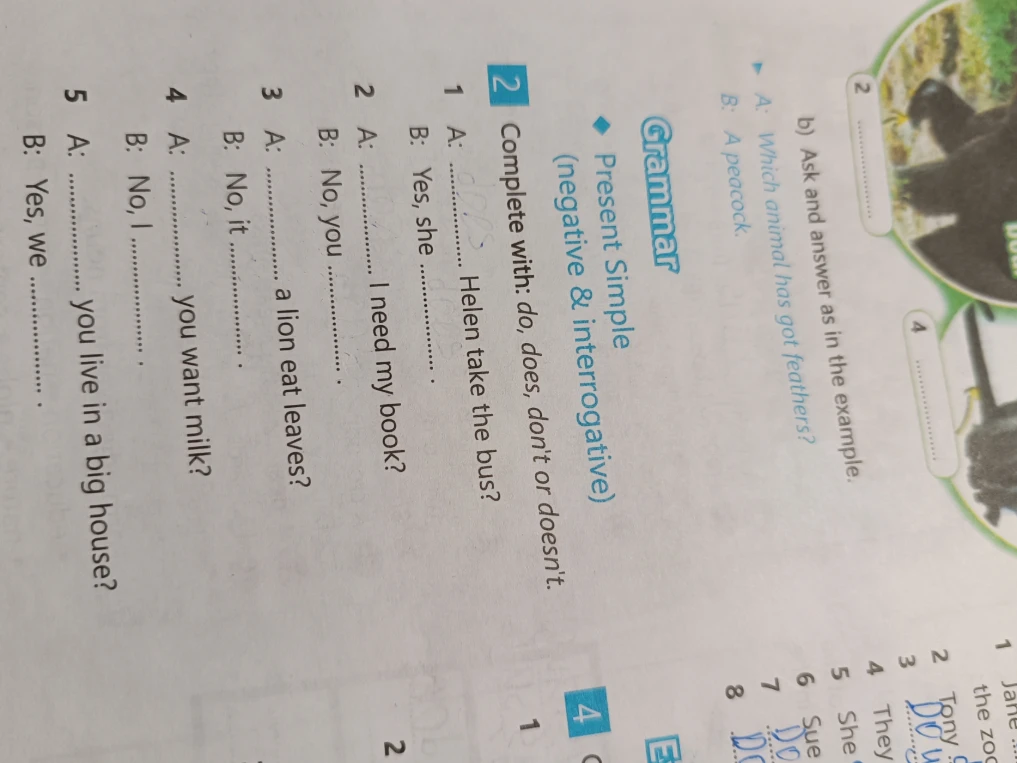 Complete with: do, does, don't or doesn't. 1 A: ... Helen take the bus? B: Yes, she ...