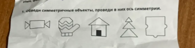 Обведи симметричные объекты, проведи в них ось симметрии.