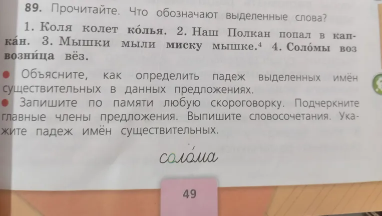 89. Прочитайте. Что обозначают выделенные слова? 1. Коля колет колья. 2. Наш Полкан попал в капкан. 3. Мышки мыли миску мышке. 4. Соломы воз возница вёз.
