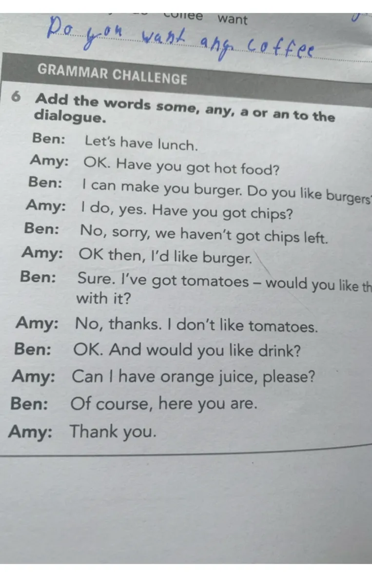 Add the words some, any, a or an to the dialogue.