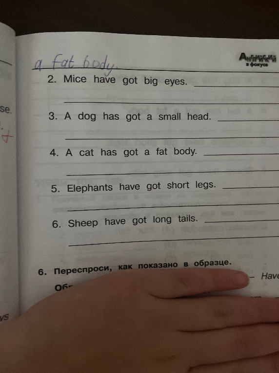 Переспроси, как показано в образце: Mice have got big eyes. A dog has got a small head. A cat has got a fat body. Elephants have got short legs. Sheep have got long tails.