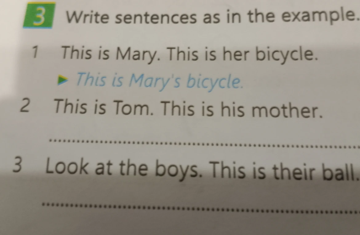Write sentences as in the example.