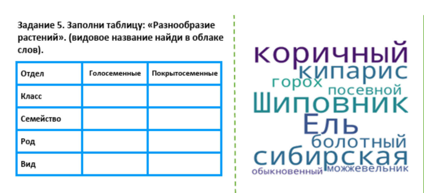 Заполни таблицу: «Разнообразие растений». (видовое название найди в облаке слов).