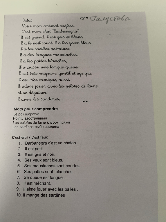 C'est vrai / c'est faux. 1. Barbanegra c'est un chaton.