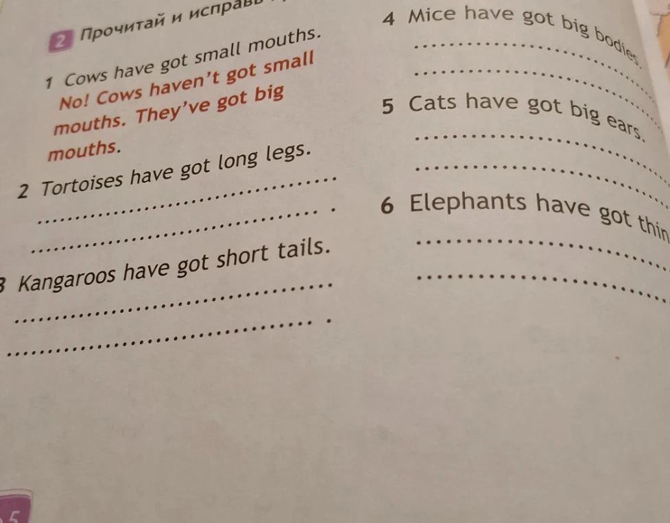 Прочитай и исправь предложения: Tortoises have got long legs, Kangaroos have got short tails, Mice have got big bodies, Cats have got big ears, Elephants have got thin legs.