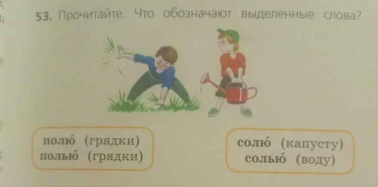 Прочитайте. Что обозначают выделенные слова? полю (грядки) полью (грядки) солю (капусту) солью (воду)