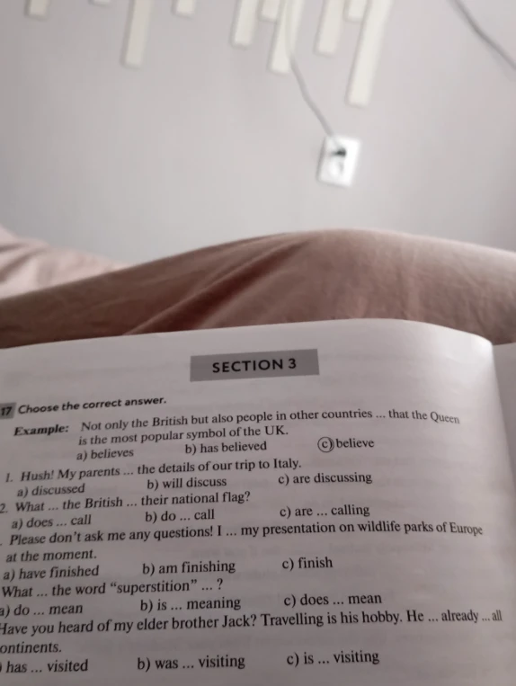 Choose the correct answer: 1. Hush! My parents ... the details of our trip to Italy.