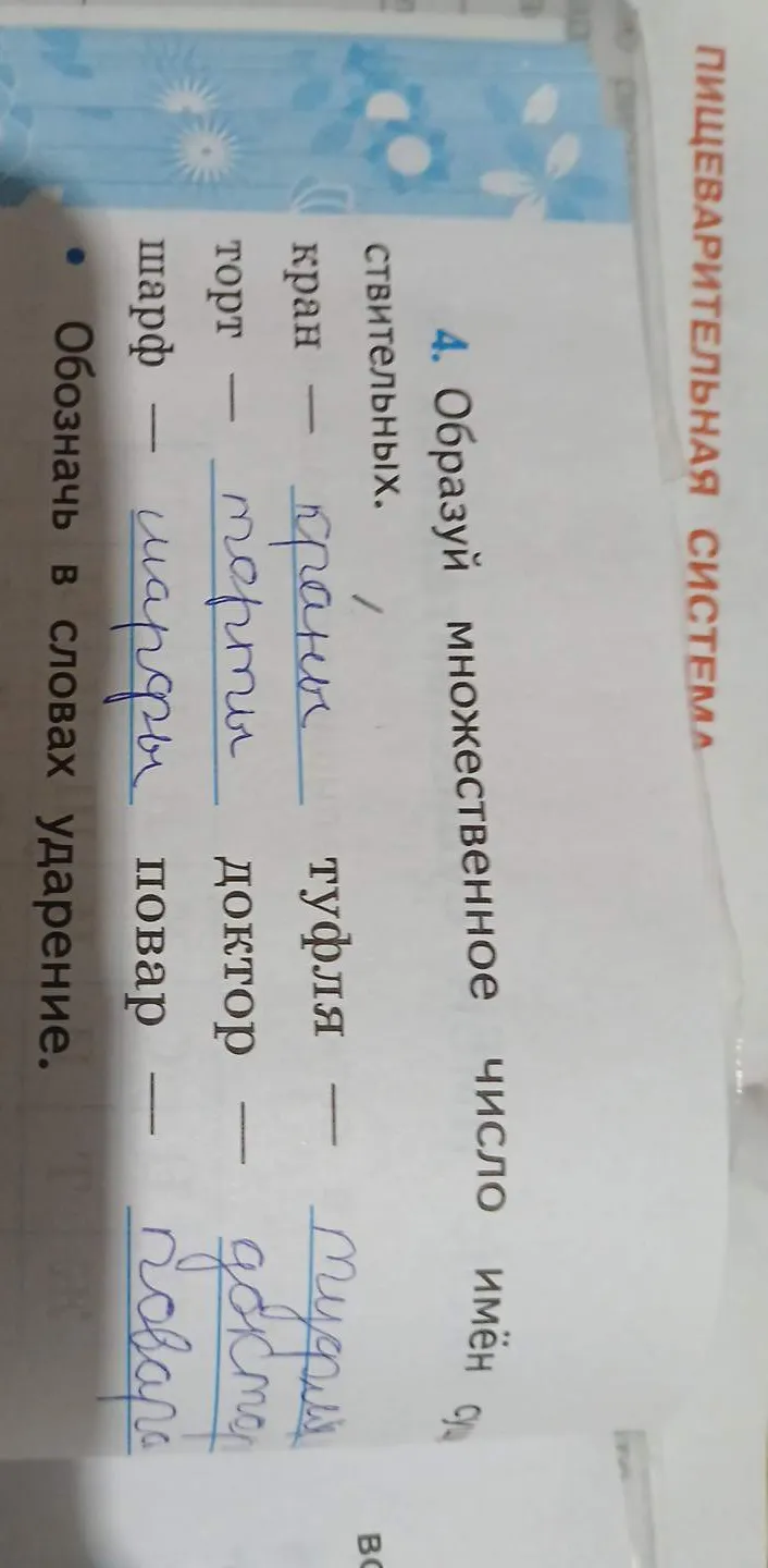 Образуй множественное число имён существительных. Обозначь в словах ударение.