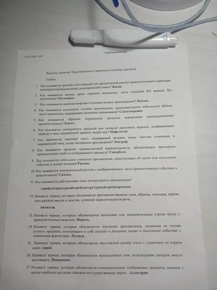 Выучить понятия. Подготовиться к терминологическому диктанту 5 класс