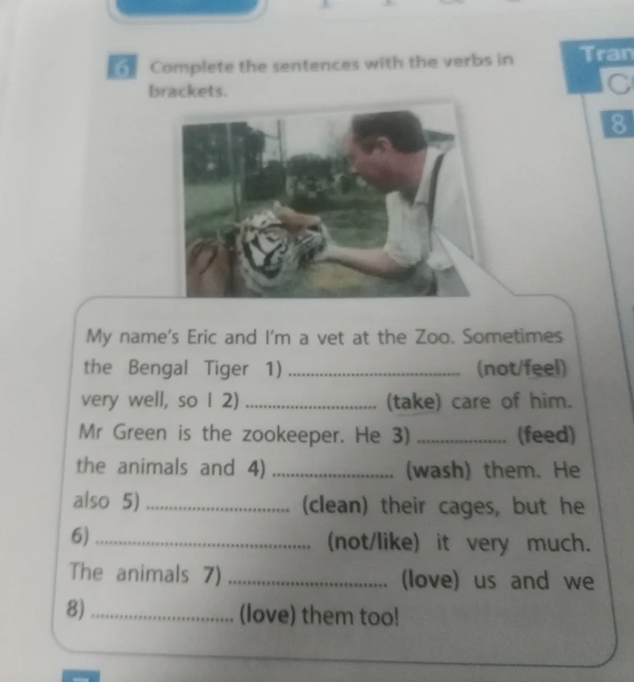 Complete the sentences with the verbs in brackets.