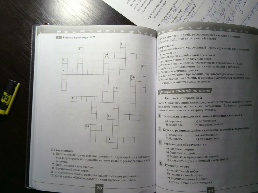 Решите кроссворд № 2 и выполните тестовый контроль № 2.