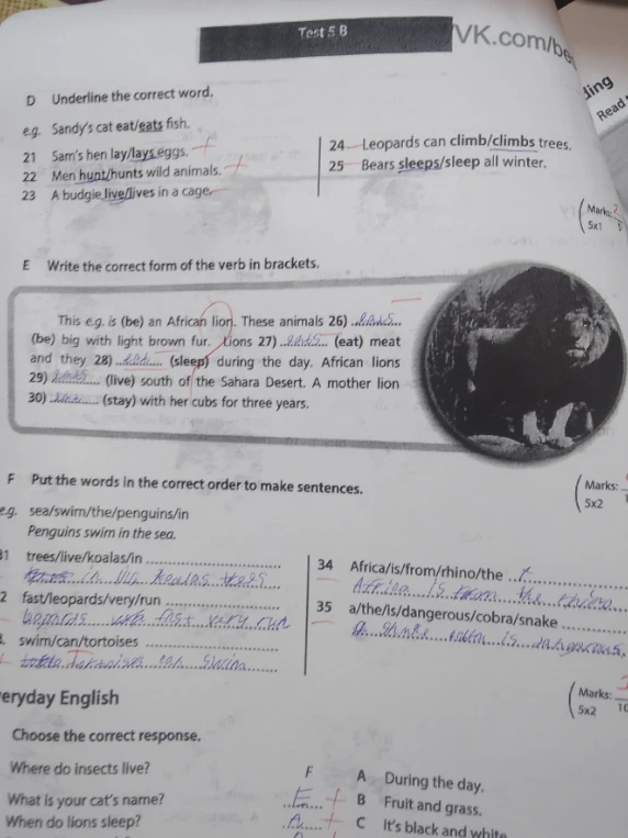 Underline the correct word. Write the correct form of the verb in brackets. Put the words in the correct order to make sentences.