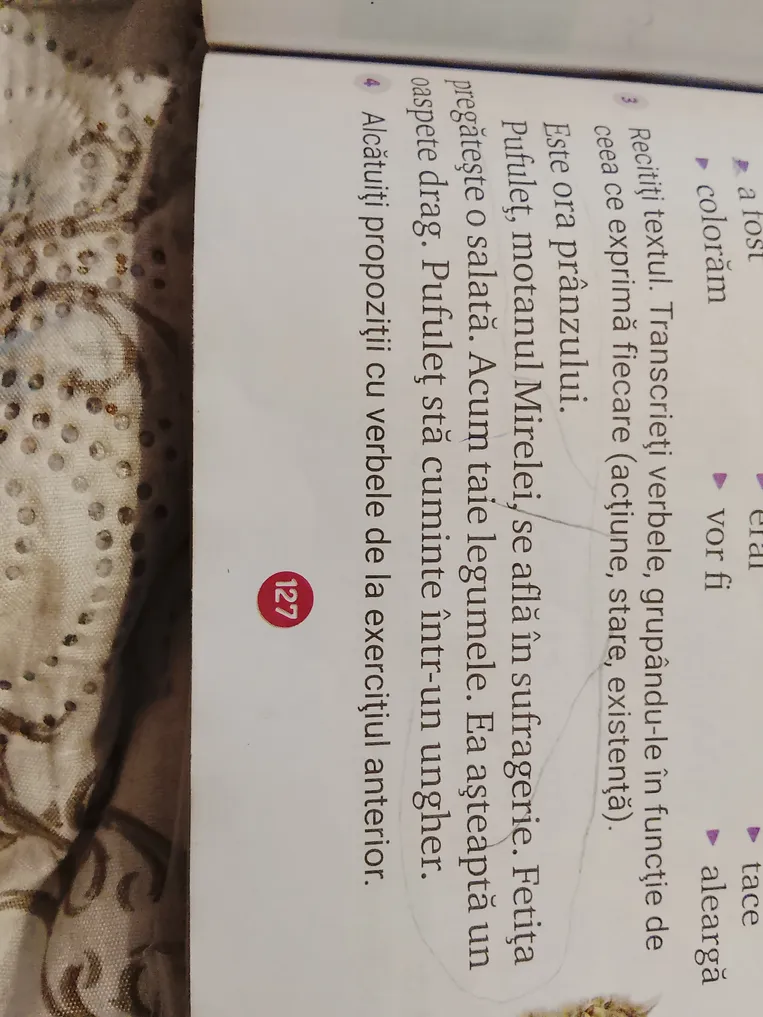 Recitiți textul. Transcrieți verbele, grupându-le în funcție de ceea ce exprimă fiecare (acțiune, stare, existență). Alcătuiți propoziții cu verbele de la exercițiul anterior.