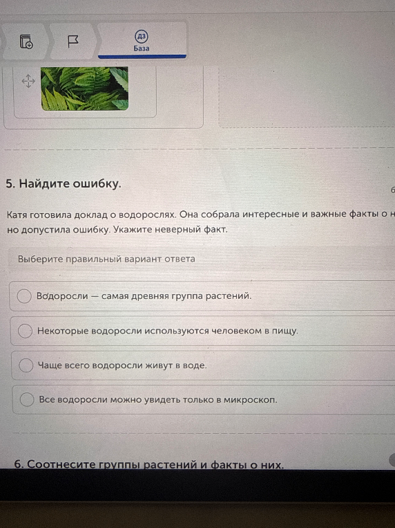 Катя готовила доклад о водорослях. Она собрала интересные и важные факты о них, но допустила ошибку. Укажите неверный факт.
