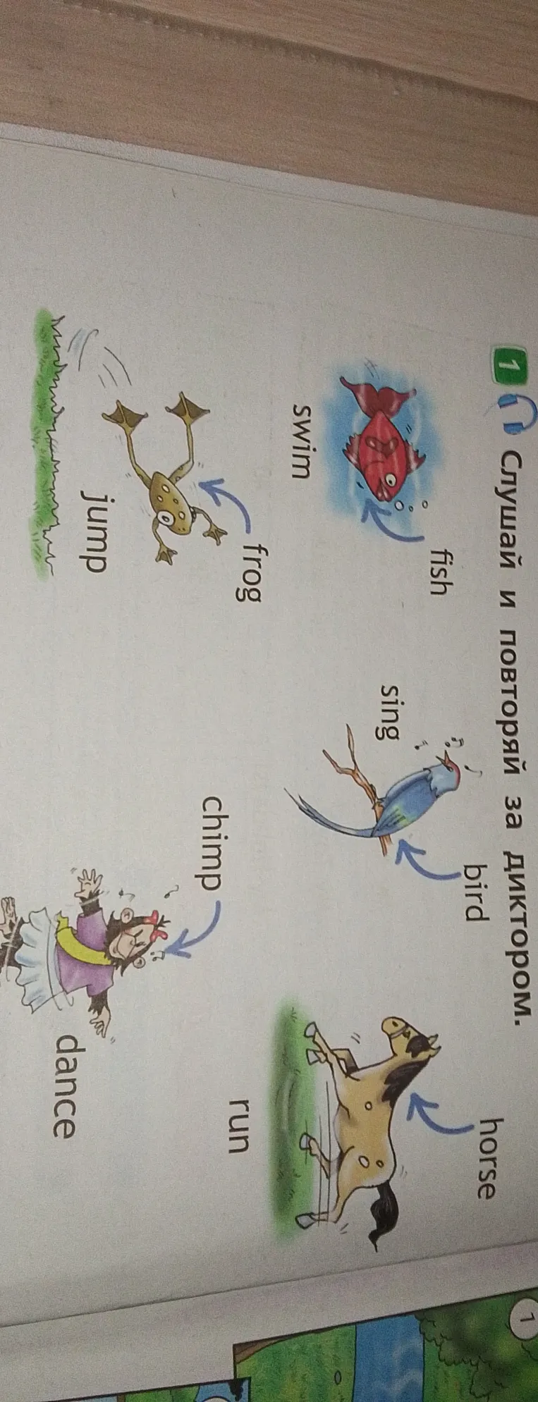 Слушай и повторяй за диктором: fish - swim, bird - sing, horse - run, frog - jump, chimp - dance.