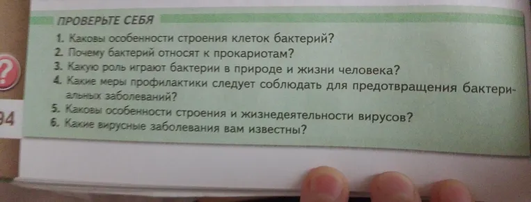 Каковы особенности строения клеток бактерий?