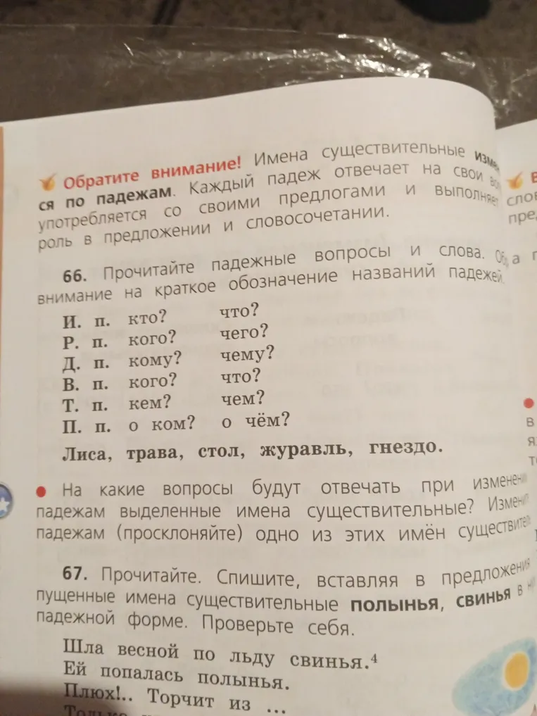 Прочитайте. На какие вопросы будут отвечать при изменении по падежам выделенные имена существительные? Измените по падежам (просклоняйте) одно из этих имён существительных.