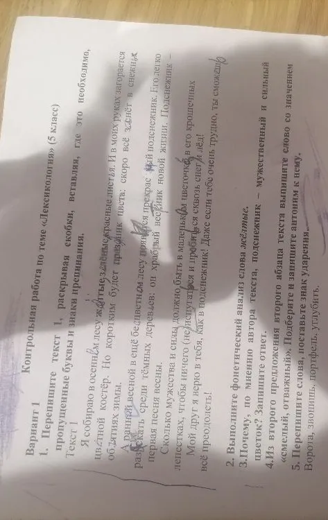 Контрольная работа по теме «Лексикология» (5 класс). Перепишите текст 1, раскрывая скобки, вставляя, где это необходимо, пропущенные буквы и знаки препинания.
