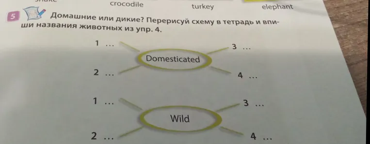 Домашние или дикие? Перерисуй схему в тетрадь и впиши названия животных из упр. 4.