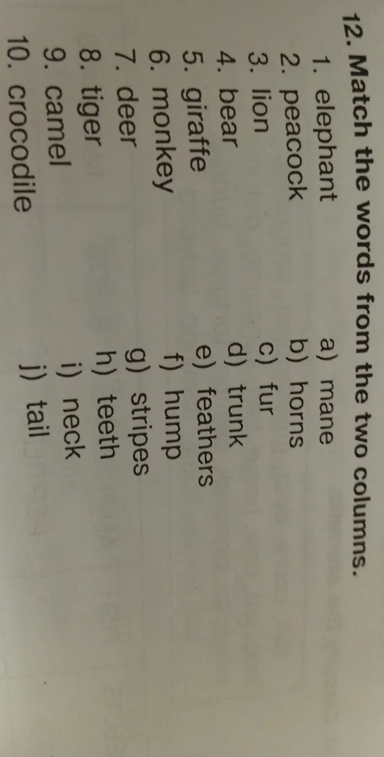 Match the words from the two columns.