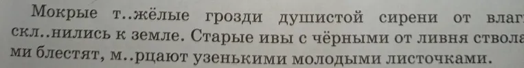 Вставьте пропущенные буквы в тексте: Мокрые т..жёлые грозди душистой сирени от влаги скл..нились к земле. Старые ивы с чёрными от ливня стволами блестят, м..рцают узенькими молодыми листочками.
