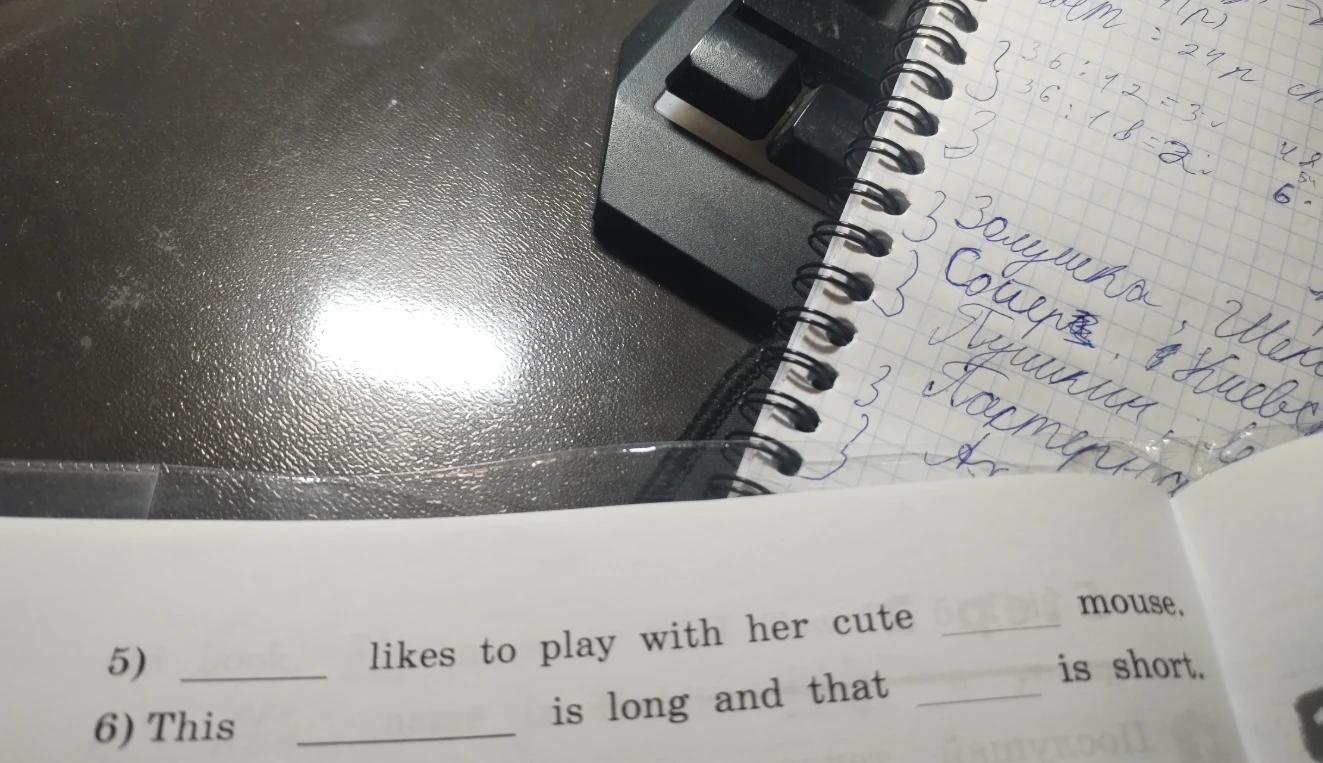 5) _____ likes to play with her cute _____ mouse. 6) This _____ is long and that _____ is short.