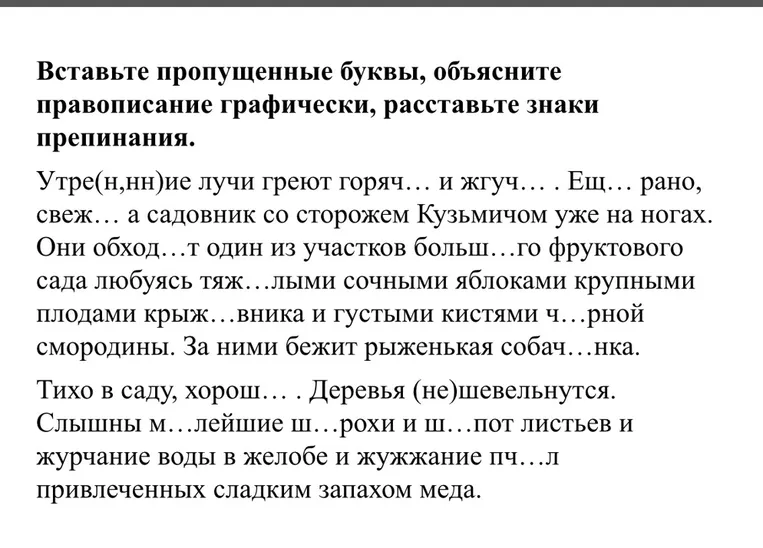 Вставьте пропущенные буквы, объясните правописание графически, расставьте знаки препинания.