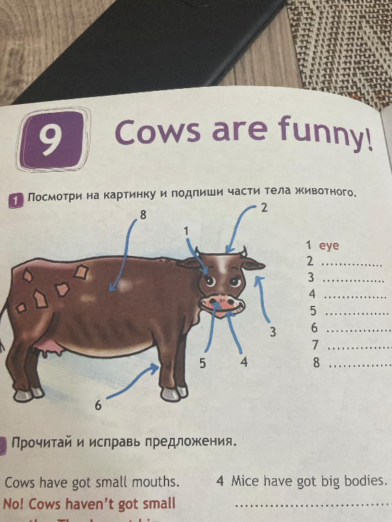 Посмотри на картинку и подпиши части тела животного.