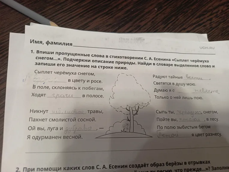 Впиши пропущенные слова в стихотворении С. А. Есенина «Сыплет черёмуха снегом...». Подчеркни описание природы. Найди в словаре выделенное слово и запиши его значение на строке ниже.