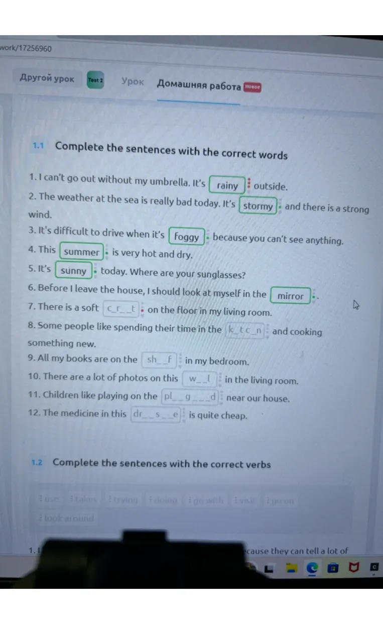 Complete the sentences with the correct words
