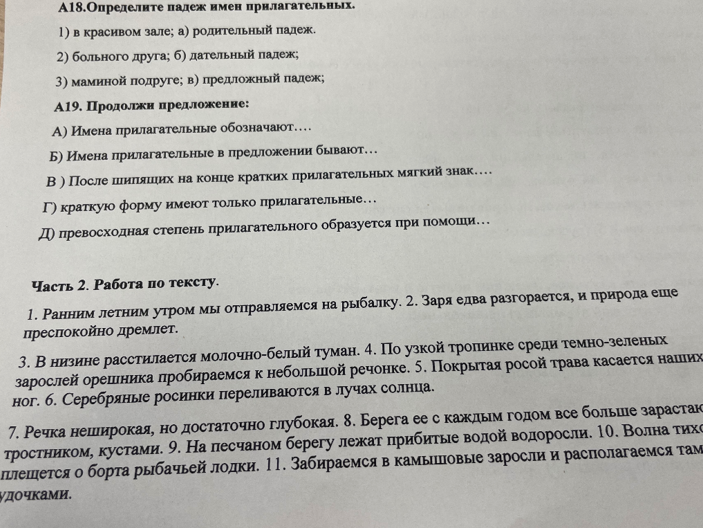 А18. Определите падеж имен прилагательных. А19. Продолжи предложение.