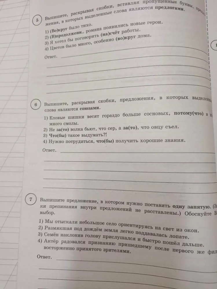 Спишите текст, раскрывая скобки, вставляя, где это необходимо, пропущенные буквы и знаки препинания.