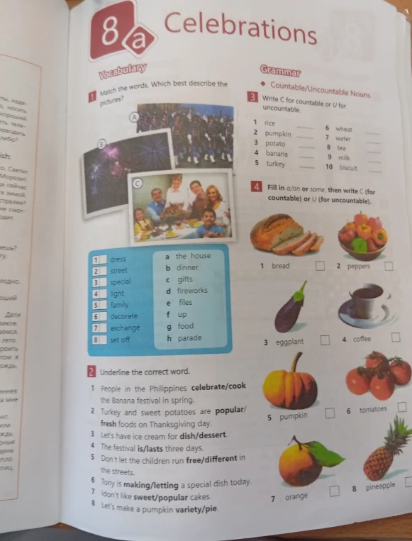 Выполните задания 1-4 по теме 'Celebrations' и 'Countable/Uncountable Nouns'