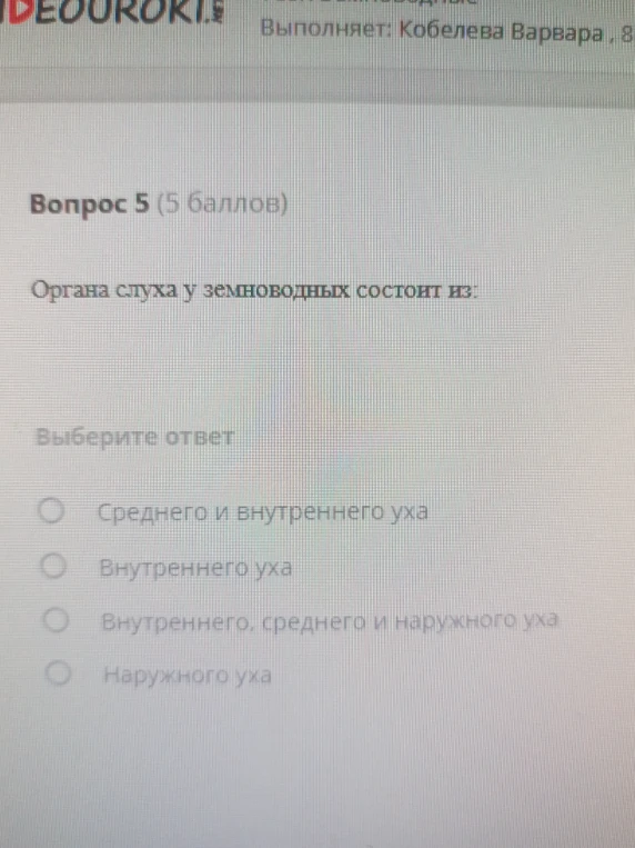 Орган слуха у земноводных состоит из: