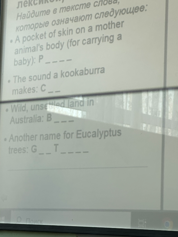 Найдите в тексте слова, которые означают следующее: A pocket of skin on a mother animal's body (for carrying a baby): P _ _ _ _