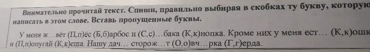 Внимательно прочитай текст. Спиши, правильно выбирая в скобках ту букву, которую написать в этом слове. Вставь пропущенные буквы.