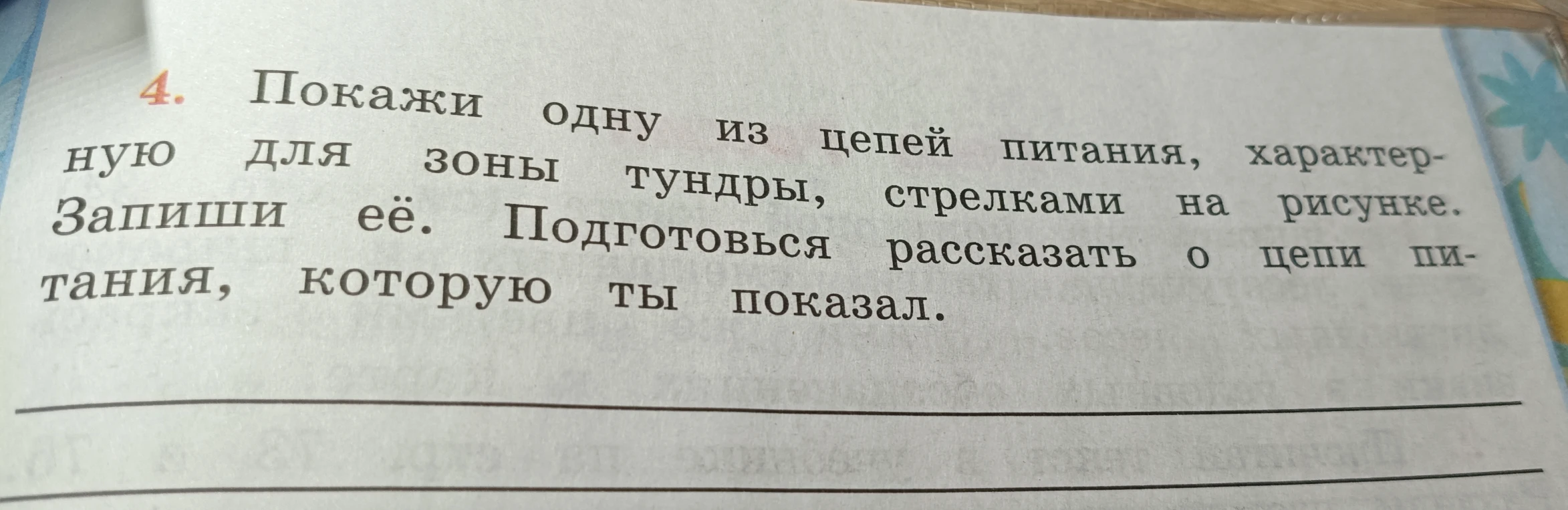 Покажи одну из цепей питания, характерную для зоны тундры, стрелками на рисунке. Запиши её. Подготовься рассказать о цепи питания, которую ты показал.