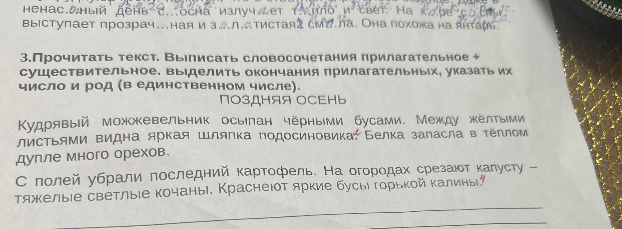 Прочитать текст. Выписать словосочетания прилагательное + существительное, выделить окончания прилагательных, указать их число и род (в единственном числе).