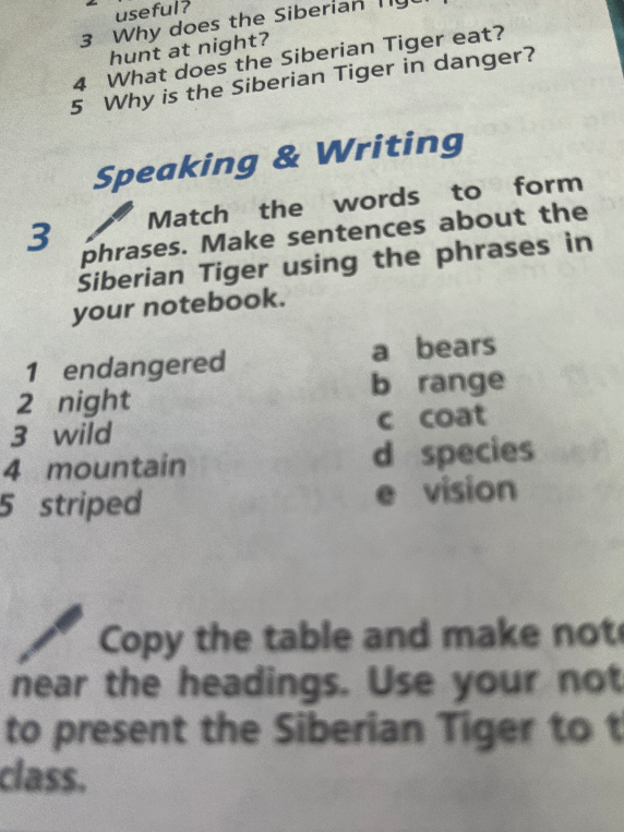 Match the words to form phrases. Make sentences about the Siberian Tiger using the phrases in your notebook.