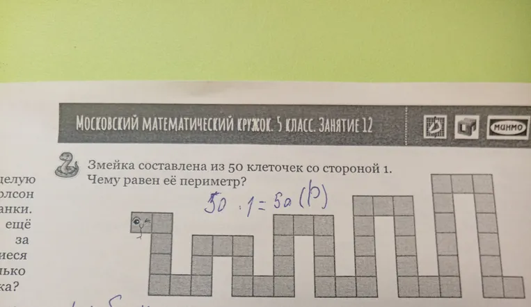 Змейка составлена из 50 клеточек со стороной 1. Чему равен её периметр?