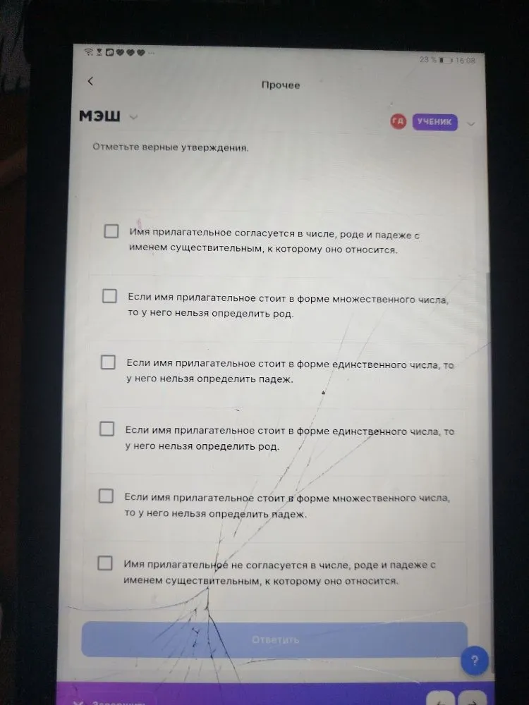Отметьте верные утверждения об имени прилагательном.
