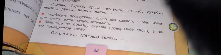 Подберите проверочное слово для каждого слова, изменив число имени существительного. Запишите по образцу сначала проверочное слово, а затем проверяемое слово.