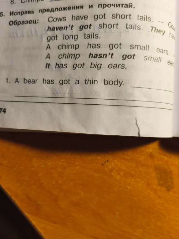 Исправь предложения и прочитай: A bear has got a thin body.