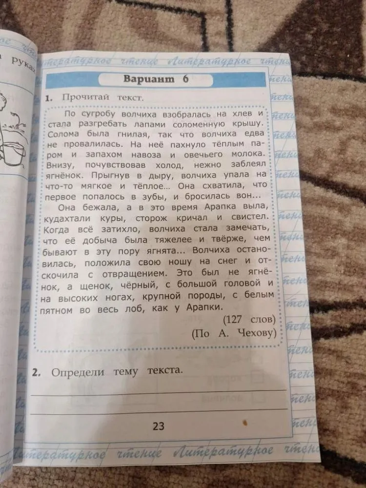 Определи тему текста.