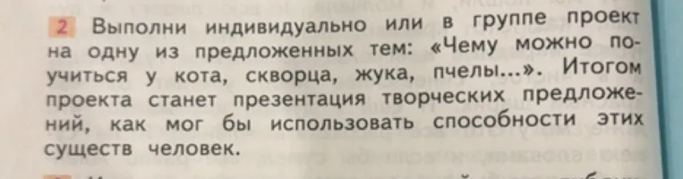 Выполни индивидуально или в группе проект на одну из предложенных тем: «Чему можно поучиться у кота, скворца, жука, пчелы...»