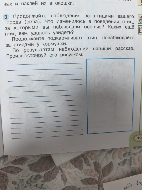 Продолжайте наблюдения за птицами вашего города (села). Что изменилось в поведении птиц, за которыми вы наблюдали осенью? Каких ещё птиц вам удалось увидеть?