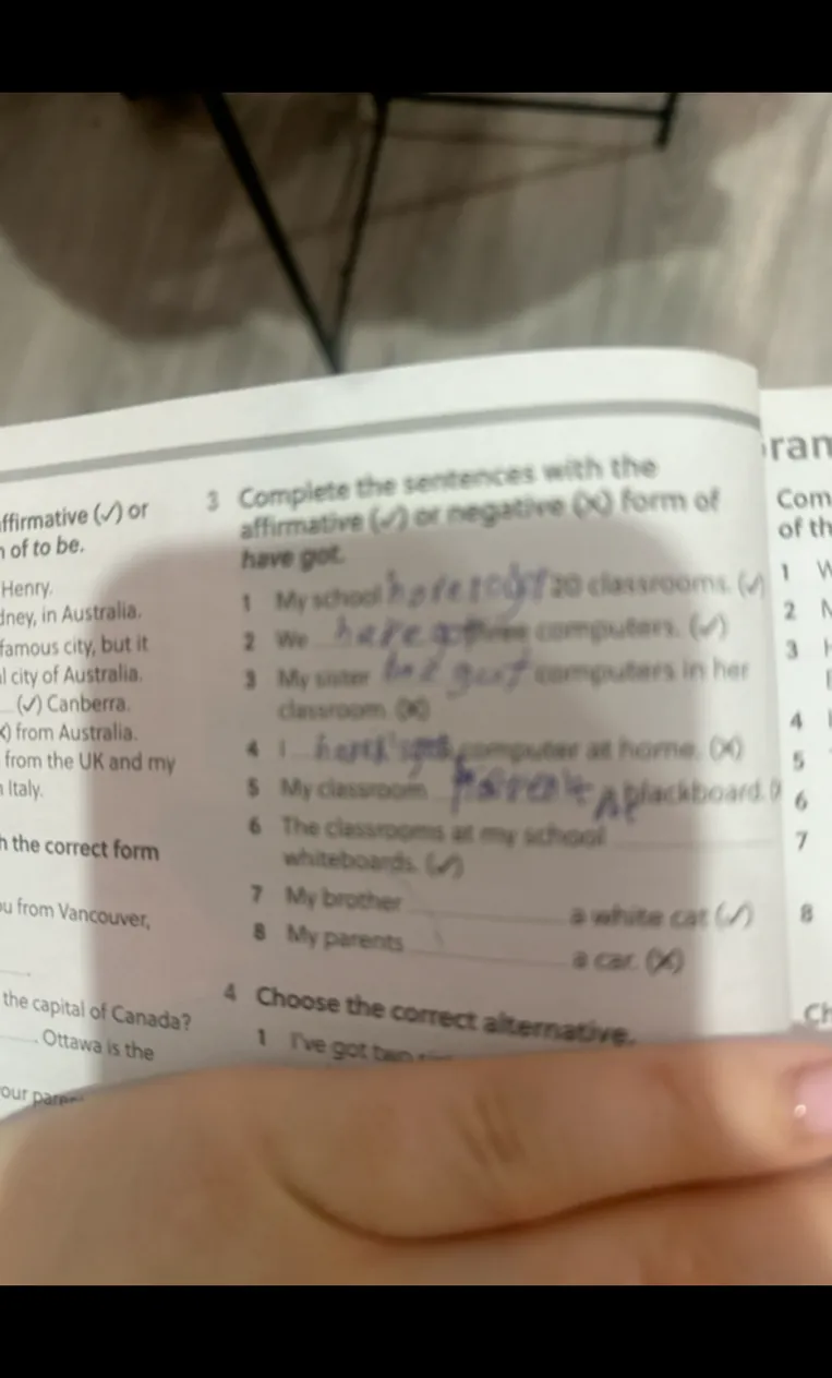 Complete the sentences with the affirmative (\checkmark) or negative (\times) form of have got.