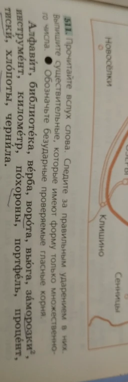 Выпишите существительные, которые имеют форму только множественного числа. Обозначьте безударные проверяемые гласные корня.